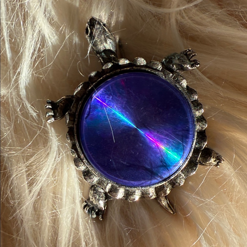 Silver Turtle Brooch with Iridescent blue Center